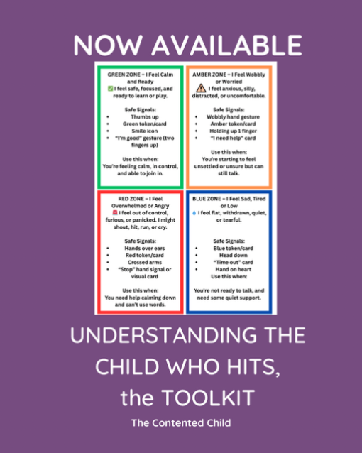WHEN A CHILD HITS:  PARENT AND EDUCATOR TOOLKIT - Image 7