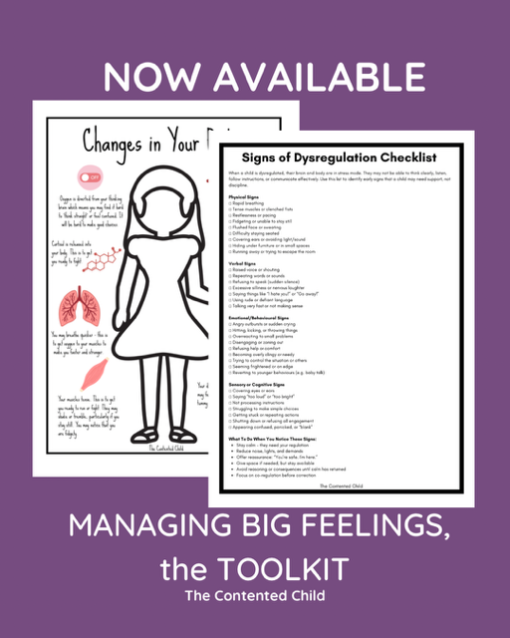 MANAGING BIG FEELINGS, a TOOLKIT FOR PARENTS & EDUCATORS - Image 5