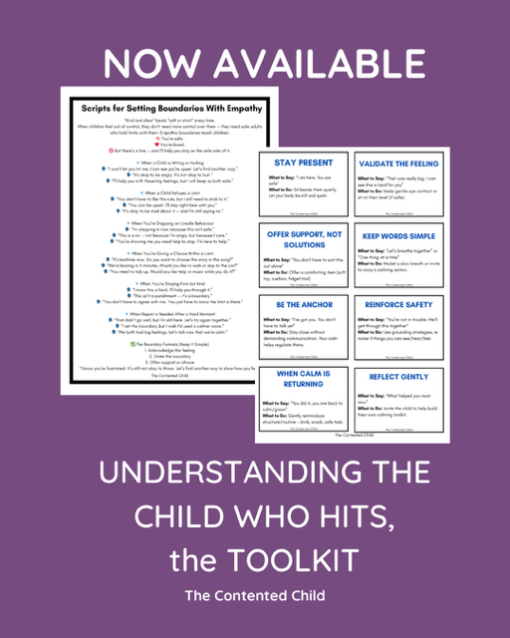 WHEN A CHILD HITS:  PARENT AND EDUCATOR TOOLKIT - Image 9
