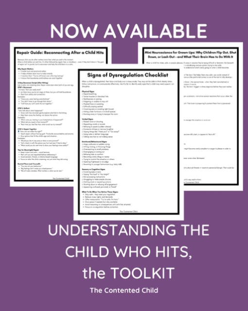 WHEN A CHILD HITS:  PARENT AND EDUCATOR TOOLKIT - Image 11