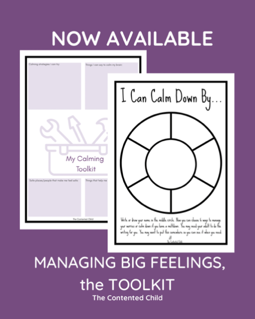 MANAGING BIG FEELINGS, a TOOLKIT FOR PARENTS & EDUCATORS - Image 10