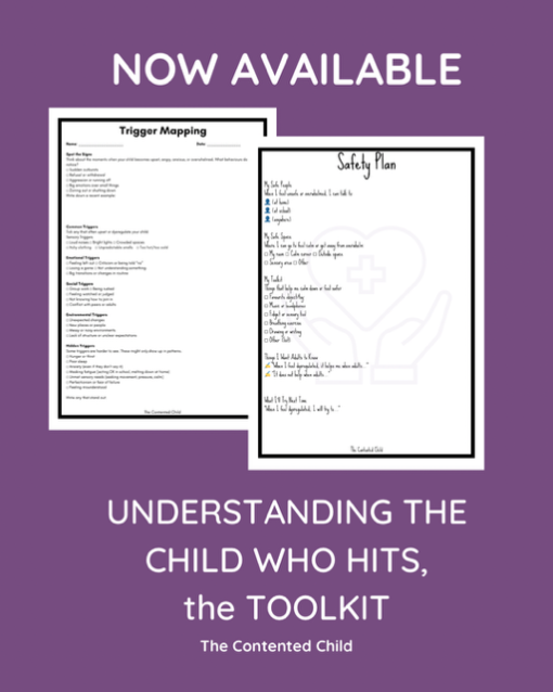 WHEN A CHILD HITS:  PARENT AND EDUCATOR TOOLKIT - Image 4