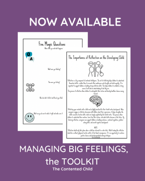 MANAGING BIG FEELINGS, a TOOLKIT FOR PARENTS & EDUCATORS - Image 7
