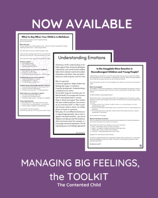 MANAGING BIG FEELINGS, a TOOLKIT FOR PARENTS & EDUCATORS - Image 8