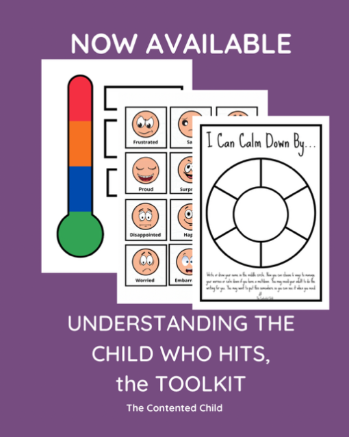 WHEN A CHILD HITS:  PARENT AND EDUCATOR TOOLKIT - Image 8