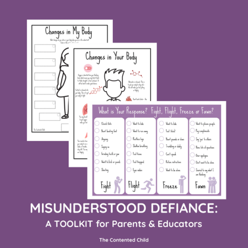Misunderstood Defiance: the Vulnerable Child Toolkit for Parents & Educators - Image 10