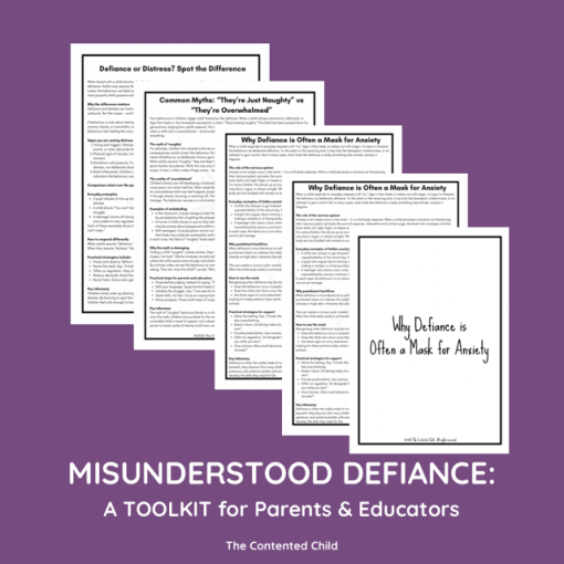 Misunderstood Defiance: the Vulnerable Child Toolkit for Parents & Educators - Image 2