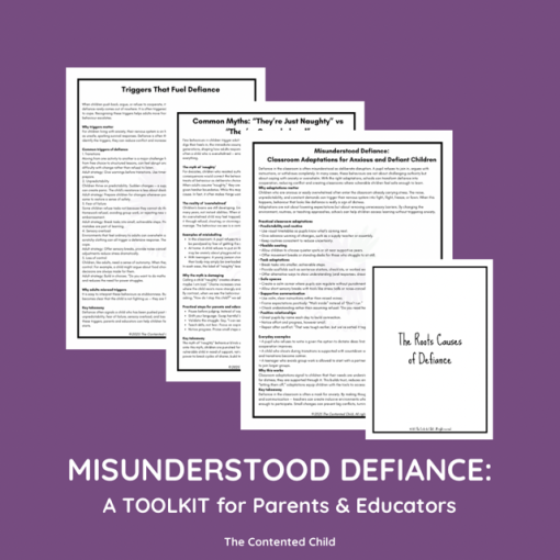 Misunderstood Defiance: the Vulnerable Child Toolkit for Parents & Educators - Image 3