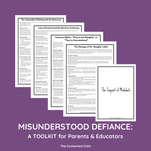 Misunderstood Defiance: the Vulnerable Child Toolkit for Parents & Educators - Image 4