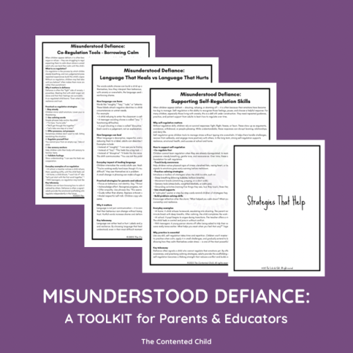 Misunderstood Defiance: the Vulnerable Child Toolkit for Parents & Educators - Image 6