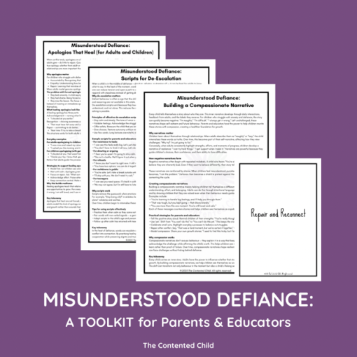 Misunderstood Defiance: the Vulnerable Child Toolkit for Parents & Educators - Image 5