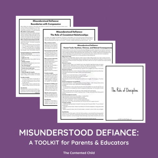 Misunderstood Defiance: the Vulnerable Child Toolkit for Parents & Educators - Image 7