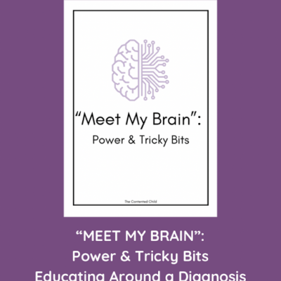 MEET MY BRAIN: POWER & TRICKY BITS