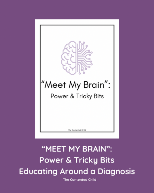 MEET MY BRAIN: POWER & TRICKY BITS