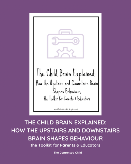 The Child Brain Explained: How the Upstairs & Downstairs Brain Shapes Behaviour, a Toolkit for Parents & Educators