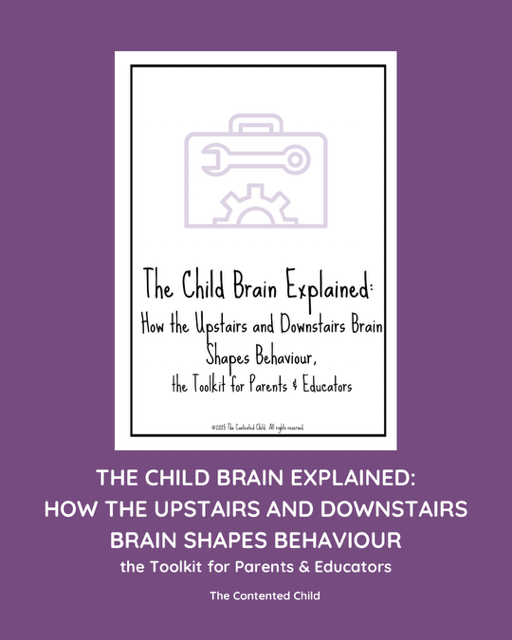 The Child Brain Explained: How the Upstairs & Downstairs Brain Shapes Behaviour, a Toolkit for Parents & Educators