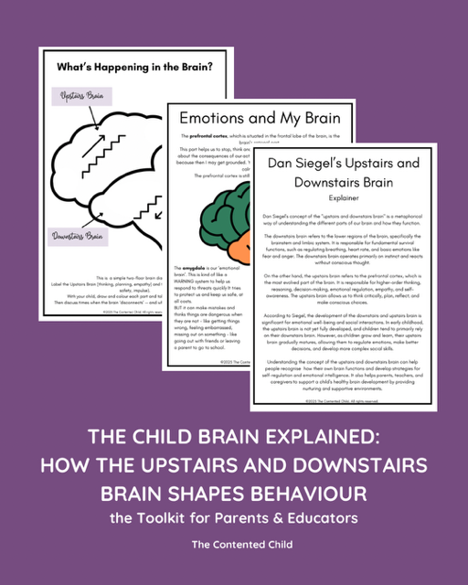 The Child Brain Explained: How the Upstairs & Downstairs Brain Shapes Behaviour, a Toolkit for Parents & Educators - Image 2