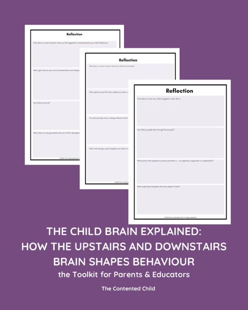 The Child Brain Explained: How the Upstairs & Downstairs Brain Shapes Behaviour, a Toolkit for Parents & Educators - Image 3
