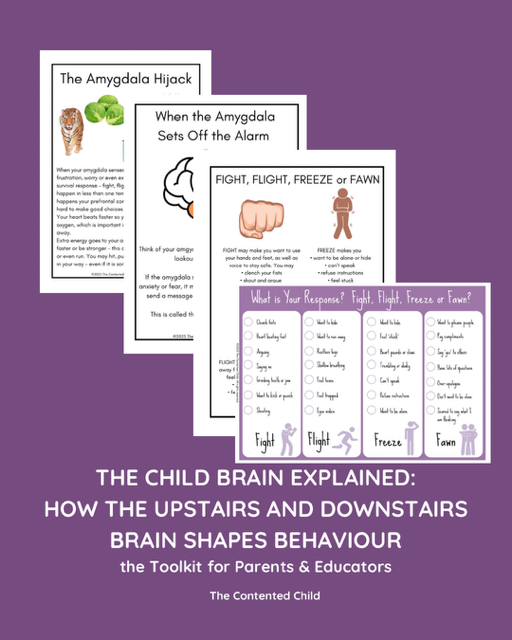 The Child Brain Explained: How the Upstairs & Downstairs Brain Shapes Behaviour, a Toolkit for Parents & Educators - Image 4