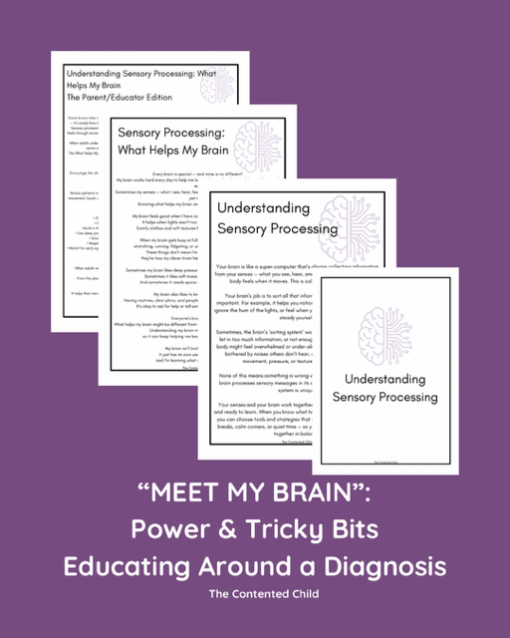 MEET MY BRAIN: POWER & TRICKY BITS - Image 5