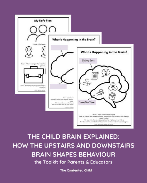 The Child Brain Explained: How the Upstairs & Downstairs Brain Shapes Behaviour, a Toolkit for Parents & Educators - Image 5
