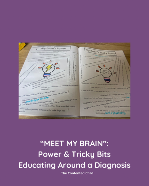 MEET MY BRAIN: POWER & TRICKY BITS - Image 6