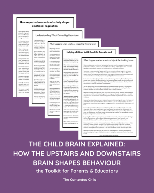 The Child Brain Explained: How the Upstairs & Downstairs Brain Shapes Behaviour, a Toolkit for Parents & Educators - Image 6