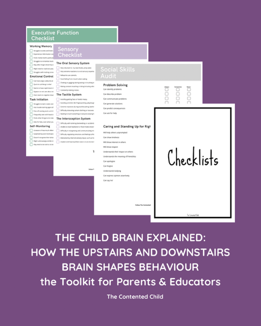 The Child Brain Explained: How the Upstairs & Downstairs Brain Shapes Behaviour, a Toolkit for Parents & Educators - Image 7