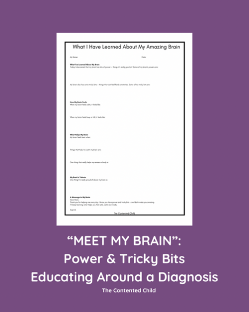 MEET MY BRAIN: POWER & TRICKY BITS - Image 8