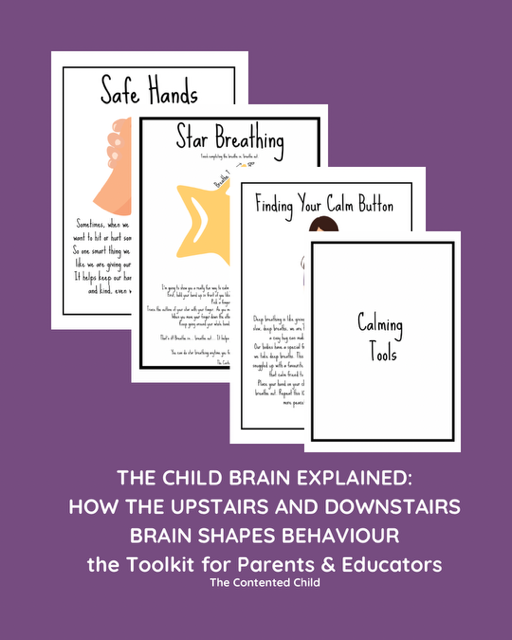 The Child Brain Explained: How the Upstairs & Downstairs Brain Shapes Behaviour, a Toolkit for Parents & Educators - Image 8