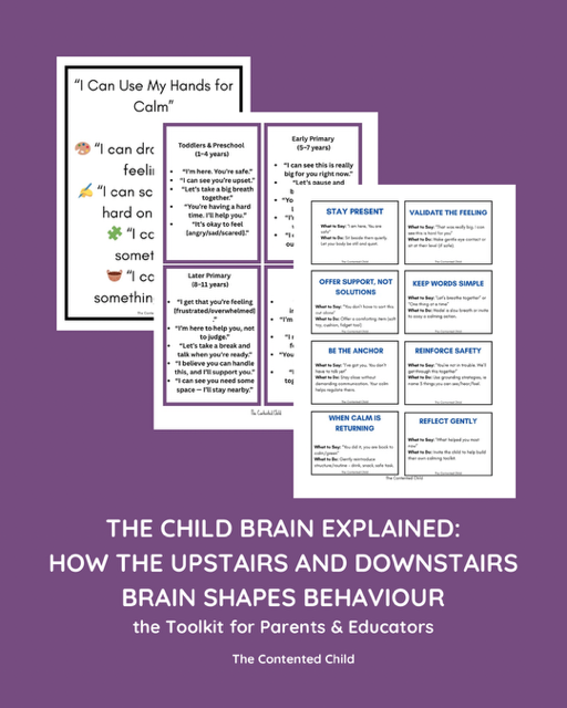The Child Brain Explained: How the Upstairs & Downstairs Brain Shapes Behaviour, a Toolkit for Parents & Educators - Image 9