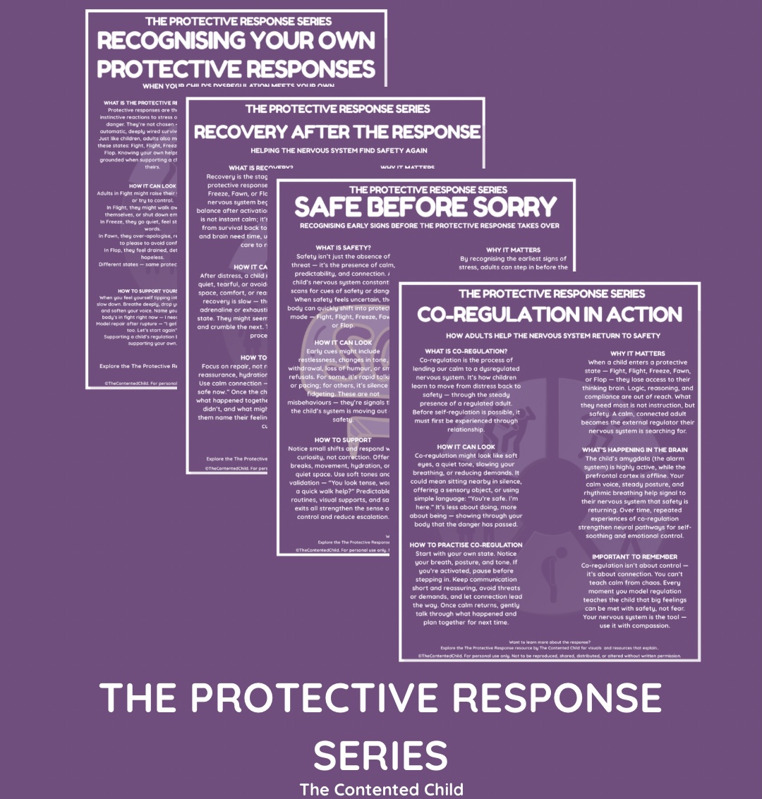 The Protective Response – Visual Pack for Parents, Educators & Professionals - Image 9